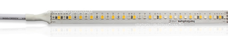 LED-Streifen 2835 24V IP65 GROW 204led/m