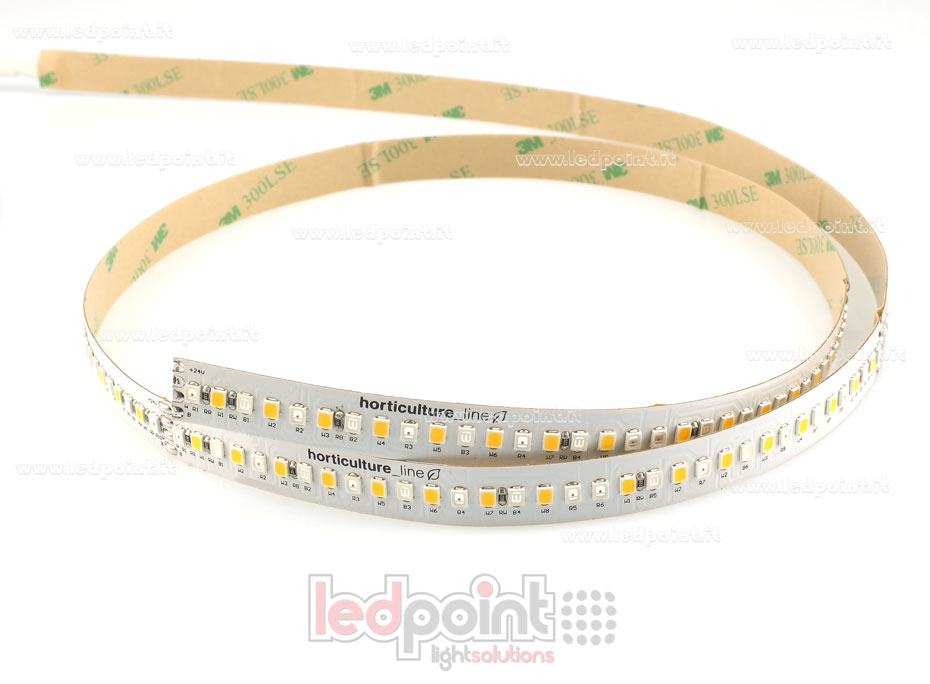 LED-Streifen 2835 24V IP65 GROW 204led/m