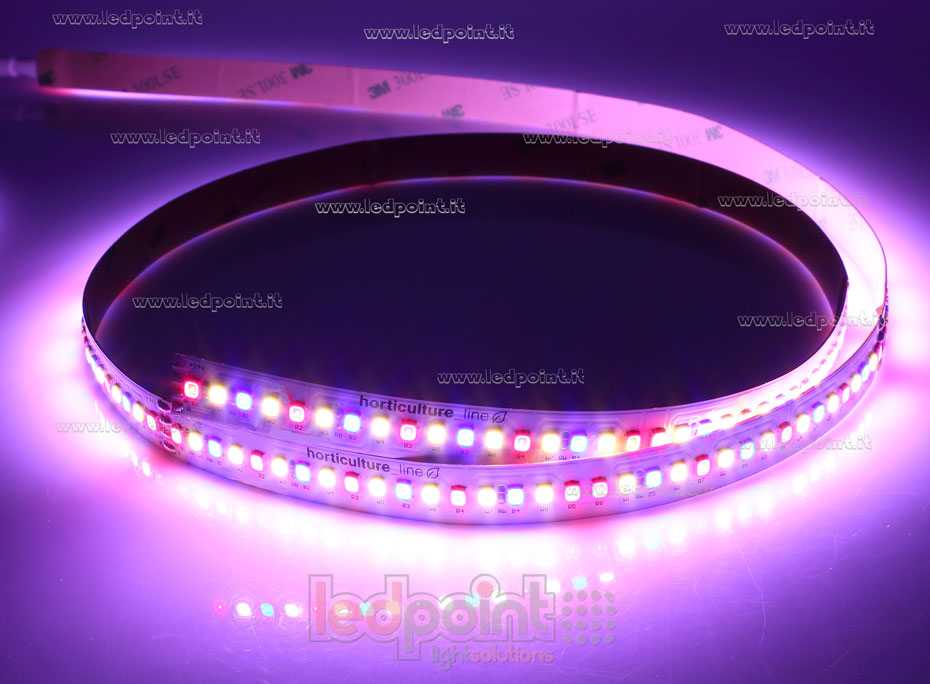 LED-Streifen 2835 24V IP65 GROW 204led/m