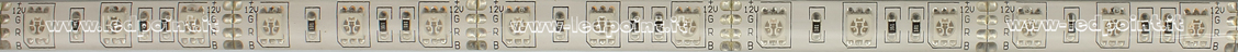 Striscia led 5050 12V IP53 RGB 60led/m D52-RGB-60521 Striscia led 5050 12V IP53 RGB 60led/m D52-RGB-60521
