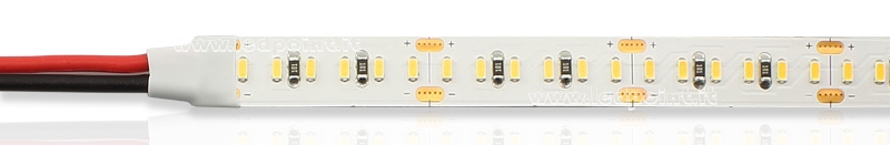 Led strip 3014 24V IP20 6000-6500K 204led/m