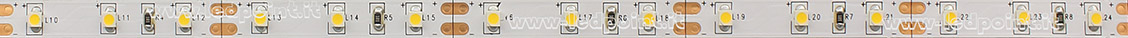 Striscia led 3528 12V IP20 2900-3100K 60led/m F52-300-60321 Striscia led 3528 12V IP20 2900-3100K 60led/m F52-300-60321