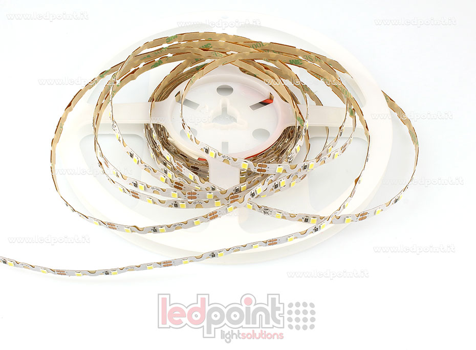 Striscia led 2835 12V IP20 6000-6500K 60led/m