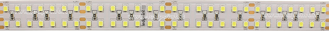 Striscia led 2835 24V IP20 6000-6500K 252led/m Striscia led 2835 24V IP20 6000-6500K 252led/m