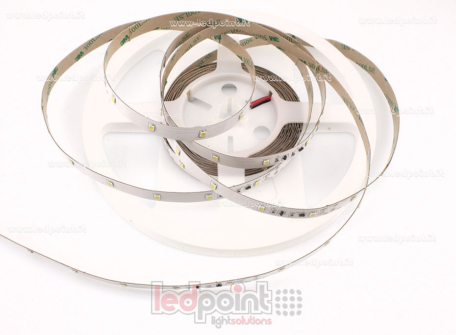Striscia led 2835 24V IP20 6000-6500K 36led/m