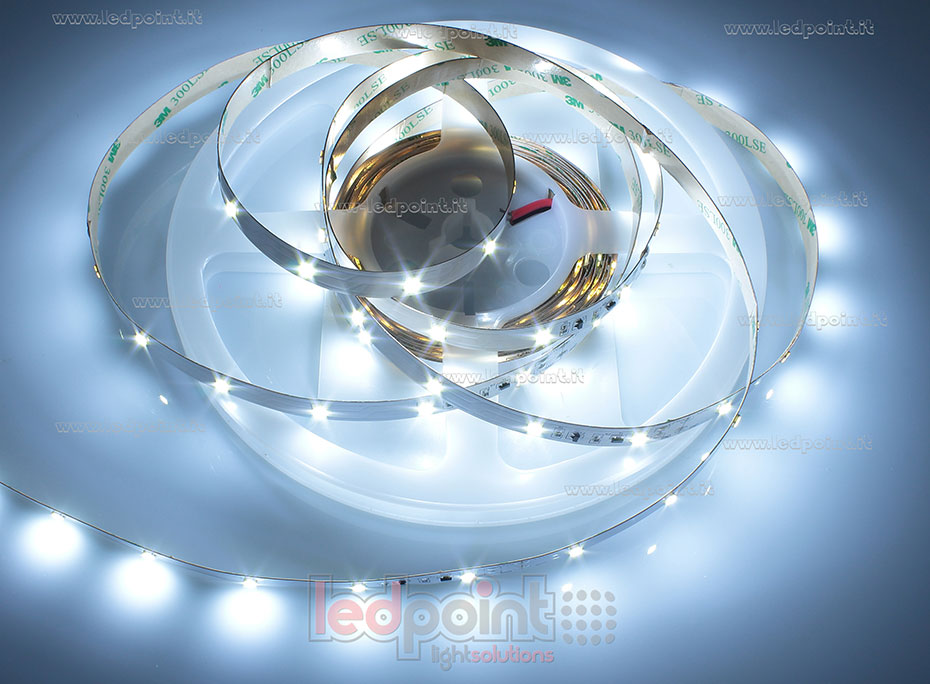 Striscia led 2835 24V IP20 6000-6500K 36led/m