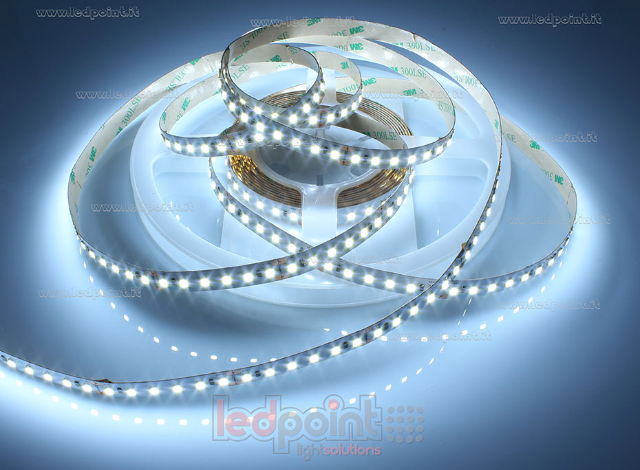 Striscia led 2835 24V IP20 6000-6500K 120led/m