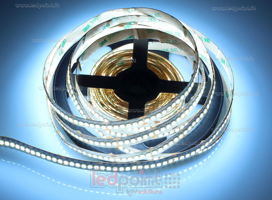 Striscia led 2835 24V IP20 6300-6800K 240led/m