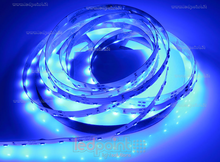 Striscia led 335 12V IP20 Blu 60led/m