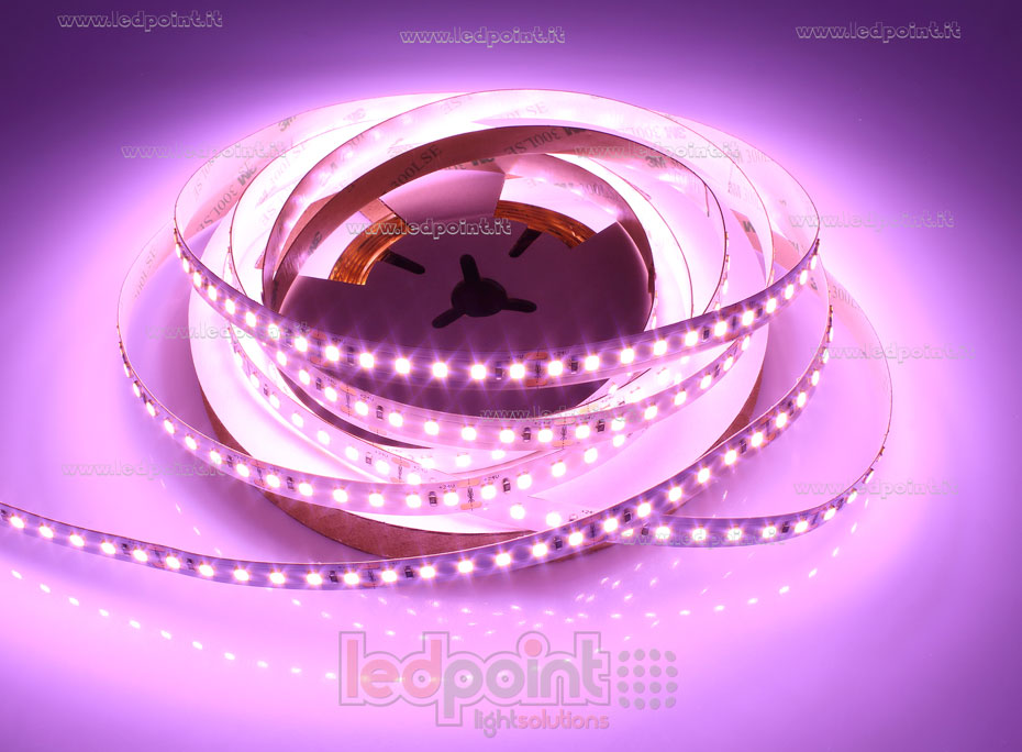 Striscia led 2835 24V IP20 3000-3500K 120led/m