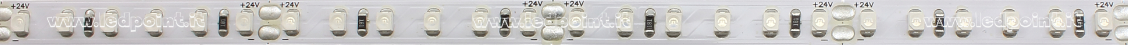 Striscia led 3528 24V IP20 520-525nm 120led/m Striscia led 3528 24V IP20 520-525nm 120led/m