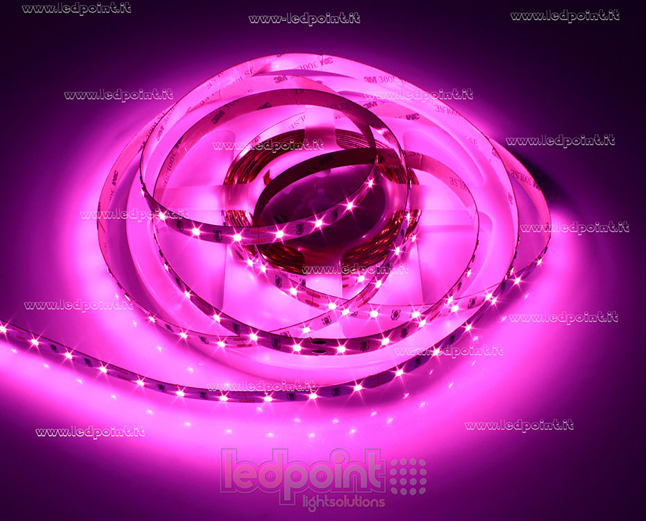 Striscia led 2835 12V IP20 - 60led/m