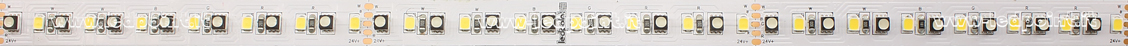 Led strip 3535+2835 24V IP20 4000-4300K 140led/m F52-R400-140212 Led strip 3535+2835 24V IP20 4000-4300K 140led/m F52-R400-140212
