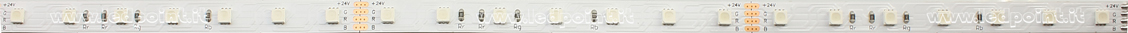 Striscia led 3838 24V IP65 RGB 70led/m Striscia led 3838 24V IP65 RGB 70led/m