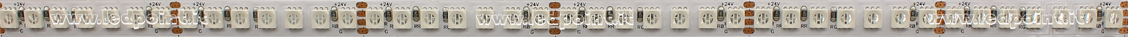 Striscia led 4040 24V IP20 RGB 168led/m Striscia led 4040 24V IP20 RGB 168led/m