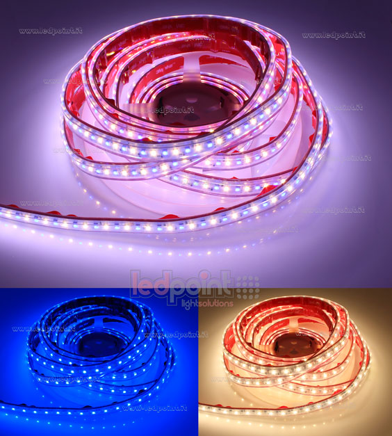 Striscia led 3838+2835 24V IP65 3000K 3step 70+70led/m Striscia led 3838+2835 24V IP65 3000K 3step 70+70led/m