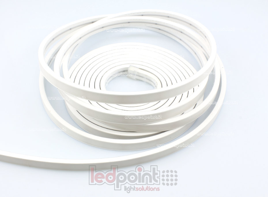 Striscia led 2025 24V IP67 460-465nm 264led/m