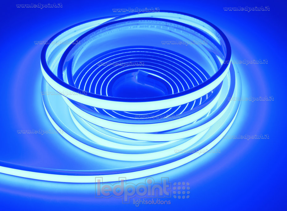 Striscia led 2025 24V IP67 460-465nm 264led/m