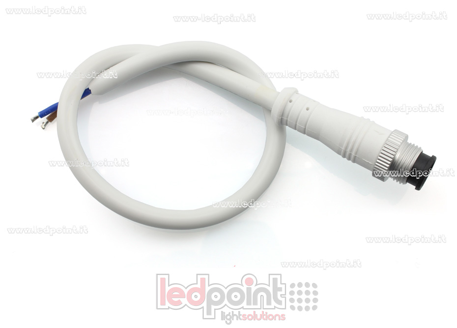 Male connector 2pin IP67 0,3m Male connector 2pin IP67 0,3m