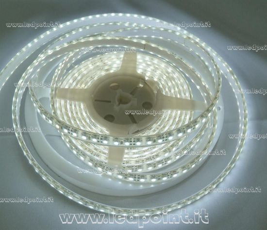 Striscia LED RGBW DAISY 5m Bianco Freddo - Foto 4