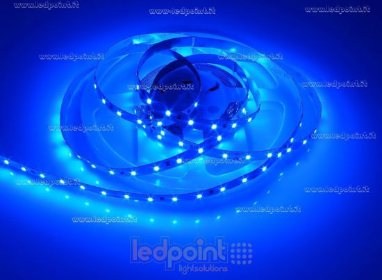 Immagine di Striscia led 5m blu 2835 60led/m 24V 14,4W/m