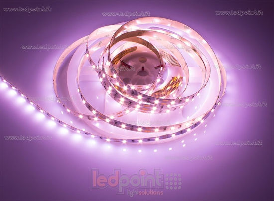 Bild von LED-Streifen für Fleischtheken 5m rosafarbig 2835 60LEDs/m 12V 14,4W/m