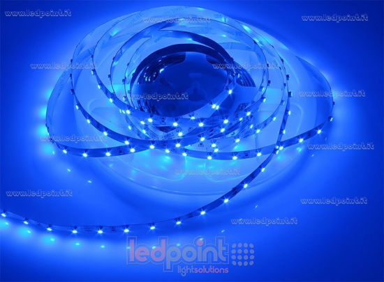 Bild von LED-Streifen 5m blau 3528 60LEDs/m 24V 4,8W/m
