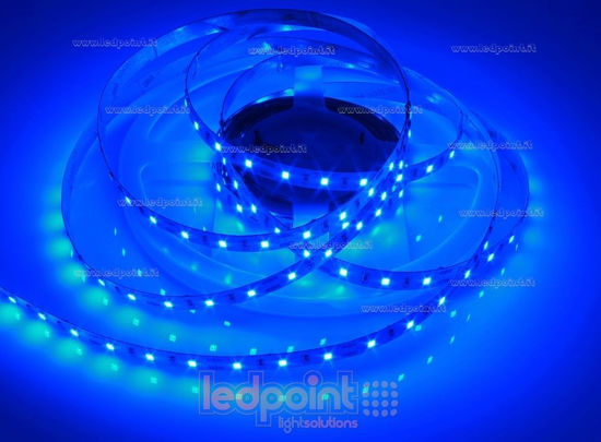 Immagine di Striscia led 5m blu 2835 60led/m 12V 14,4W/m