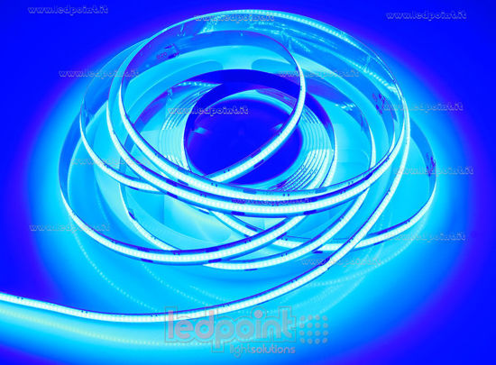 Picture of COB LED strip blue 5m 512leds/m 24V 16W/m