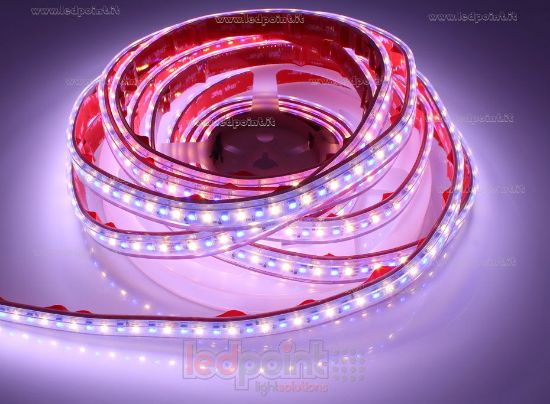Immagine di Striscia led 5m RGB 3838 + bianco caldo 3000K 3step 2835 140led/m Honglitronic 24V 28,8W/m, IP65 tubo di silicone estruso bordi pieni interno vuoto