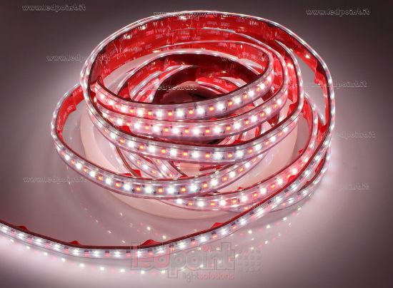 Bild von LED-Streifen 5m RGB 3838 + weiß 4000K 3step 2835 140LEDs/m Honglitronic 24V 28,8W/m, IP65 dicker Syliconrohr