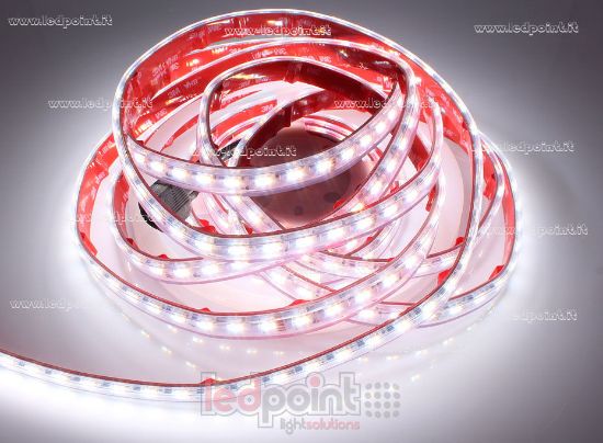 Bild von LED-Streifen 5m RGB 3838 + CCT 2835+2835, 2600-6500K 210led/m 24V 14.4+14.4+14.4W/m, IP65 durchsichtbarer Sylicon