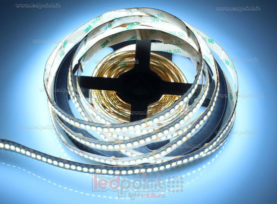 Picture of LED strip 4,575m cool white 6300-6800K 240leds/m 2835 24V 19,2W/m