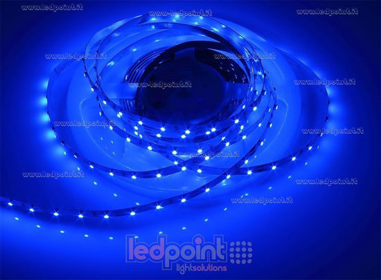 Immagine di Striscia led 5m blu 3528 60led/m Honglitronic 12V 4,8W/m
