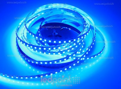 Ledpoint S.r.l. | Ledpoint S.r.l.