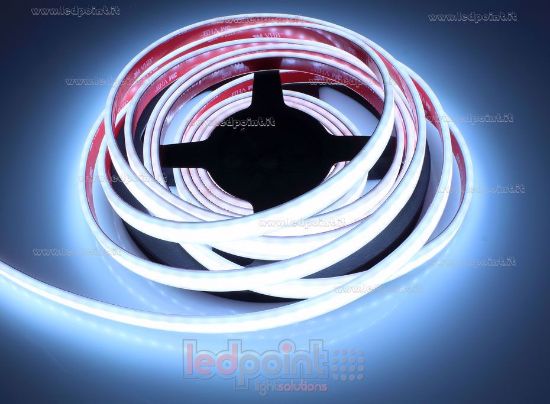 Ledpoint S.r.l. | LED strip 5m cold white led 6000K 3step 2835 ...
