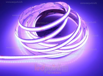 3mm 5mm Bianco Freddo O Bianco Caldo DC12V / 24V COB Led Strip Light Supplier - Foto 9