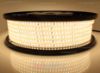 Bild von LED-Streifen 50m warm-weiße Ledlampen 3000K 2835 120led/m 230V 16,5W/m, IP65 dicker Syliconrohr