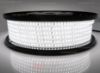 Immagine di Striscia led 50m led bianco 4000K 2835 120led/m 230V 16,5W/m, IP65 tubo di silicone estruso bordi pieni interno vuoto
