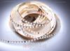 Immagine di Striscia led Control 5m CCT 3000-6500K 2835 120led/m 20 pixel/m 24V 15W/m