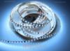 Immagine di Striscia led Control 5m CCT 3000-6500K 2835 120led/m 20 pixel/m 24V 15W/m