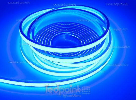 Immagine di Striscia led 5m blu 2025 264led/m 24V 12W/m, IP67 silicone solido bianco