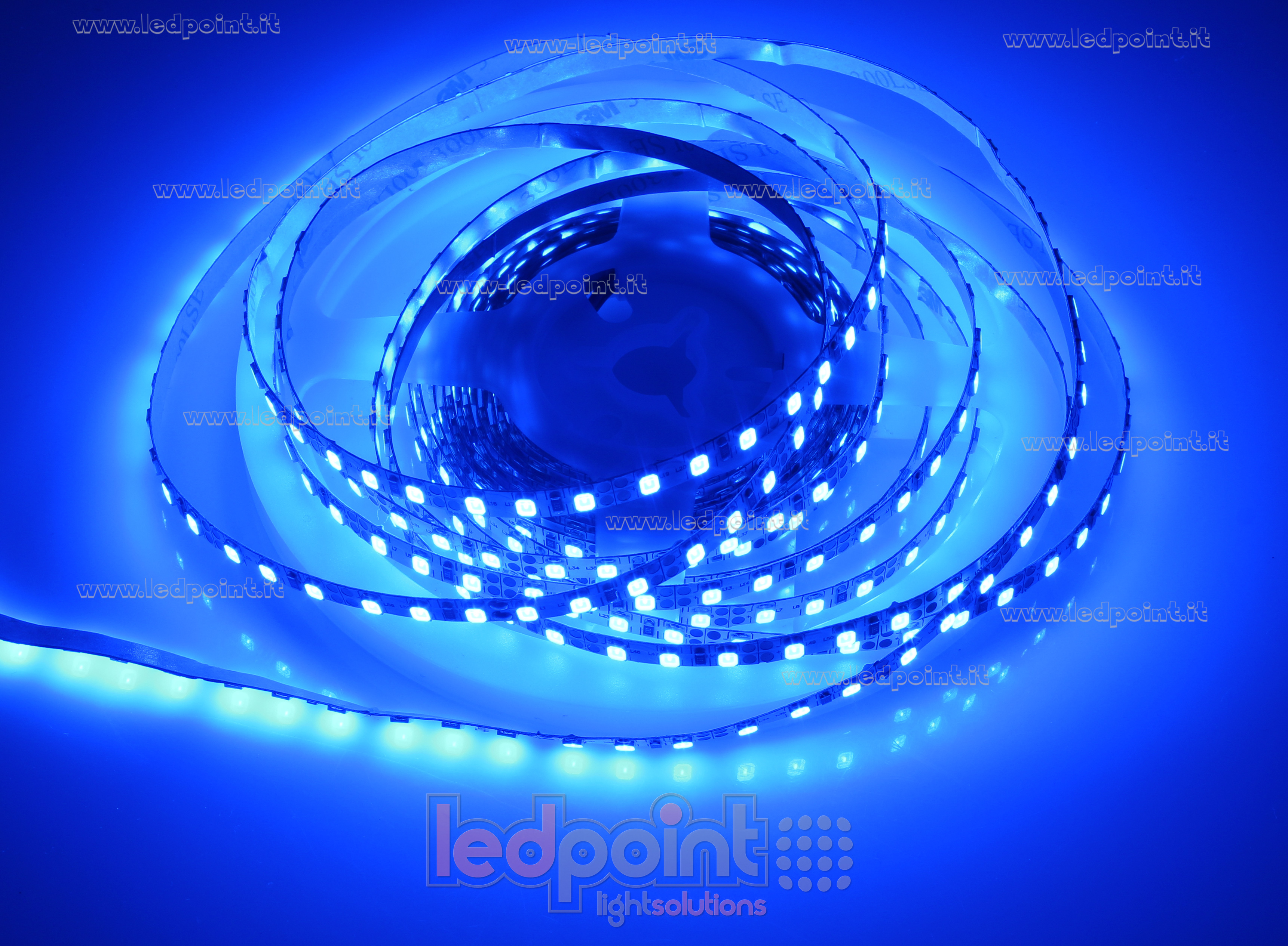 Ledpoint S.r.l. Striscia led 5m blu 2835 120led/m 12V 10W/m, PCB 5mm